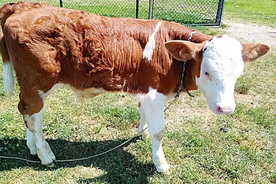 IMG_20190520_140201-5CF03609115FB