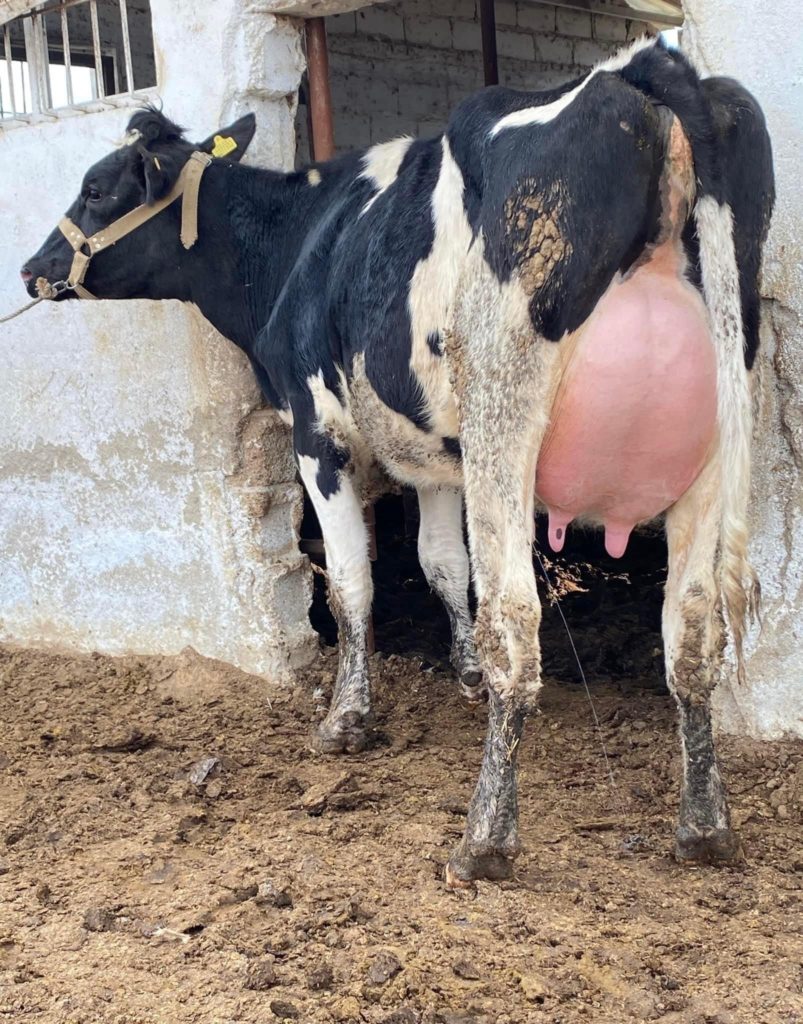 img_1920x_622d8fca271153-36661562-59254755