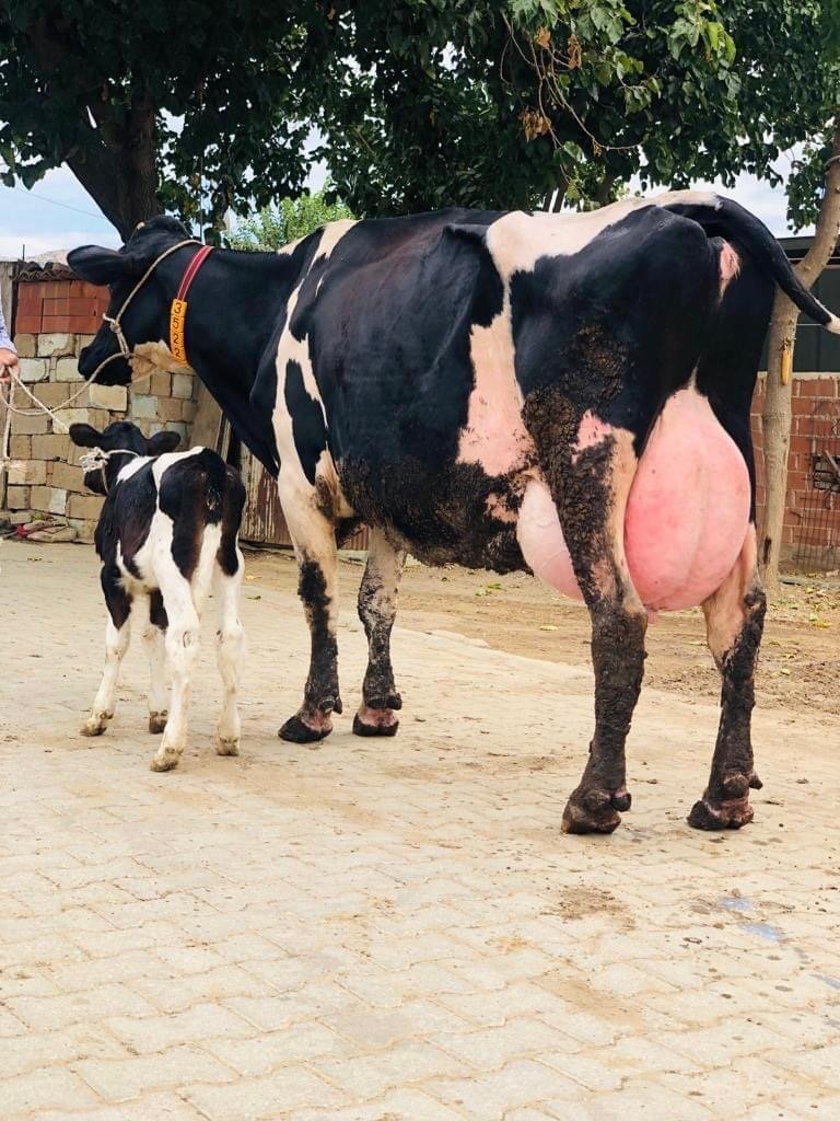 img_1920x_6339210949c726-35388461-23605202